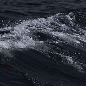 梦梦女主胯下口舌VK
